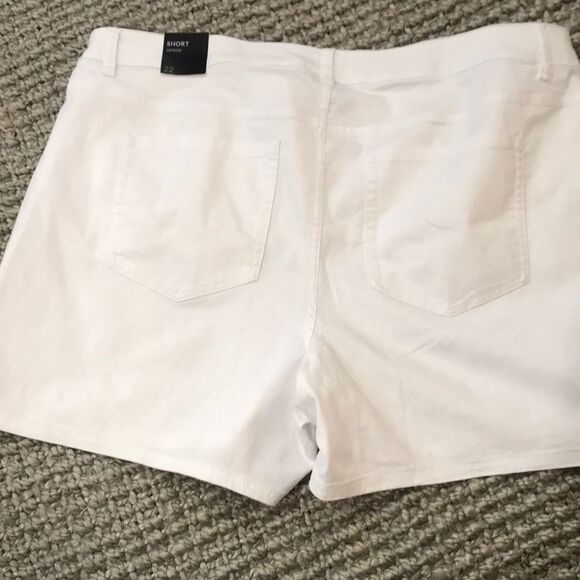 NWT- Lane Bryant -28 plus - Picture 2 of 5